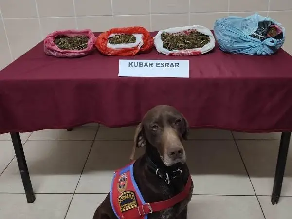 Son dakika haberleri | 'Manken' arabadaki esrarı buldu; 4 gözaltı