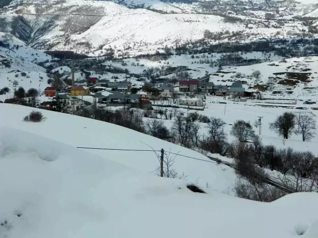 Posof'ta kar ve tipi okulları kapattı