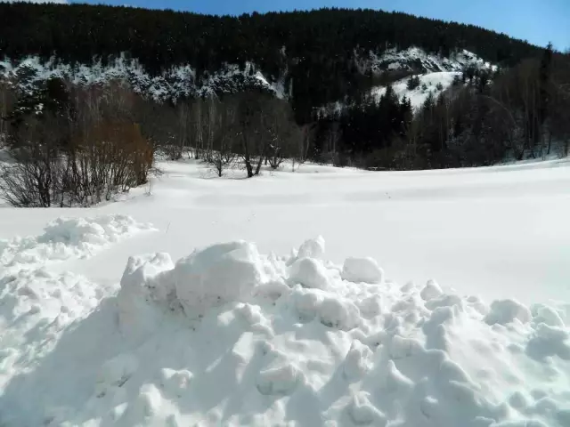 Posof'ta kar ve tipi okulları kapattı