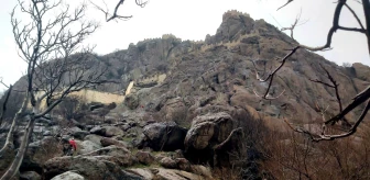 Karahisar Kalesi'nde mahsur kalan 7 keçiyi AKUT ekipleri kurtardı
