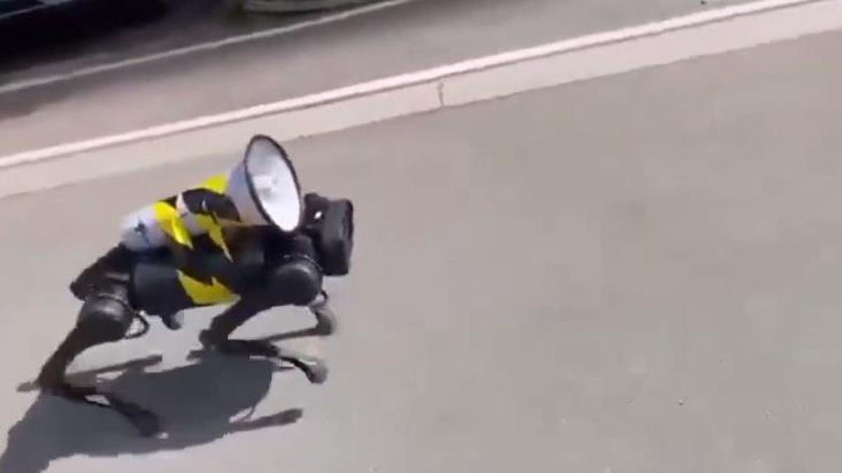 Şanghay'da sokaklarda dolaşan robot köpek gündem oldu