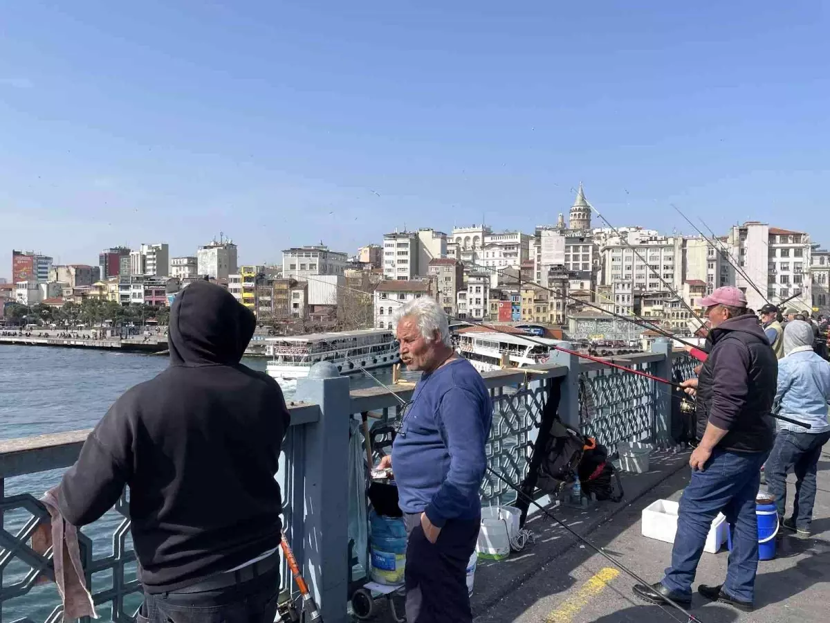 Boğaz'da dikkat çeken istavrit bolluğu