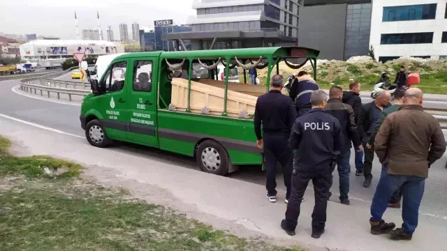 Tırla geri geri gelirken arkadaşını ezerek öldürdü