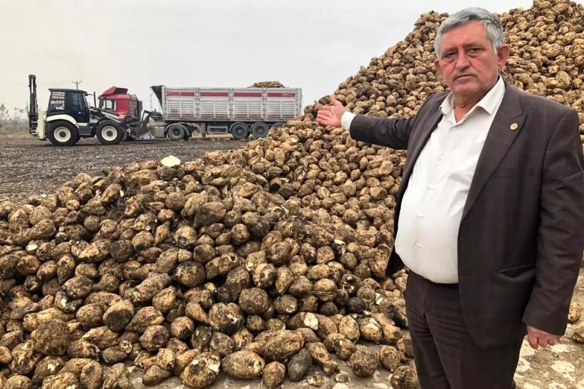 Sadi Aktaş: 'Türkiye'ye yetecek ve ihracat yapacak kadar şeker var'