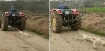 Antalya'da korku dolu anlar! Plaja inen paraşütçü, genç kadına çarptı