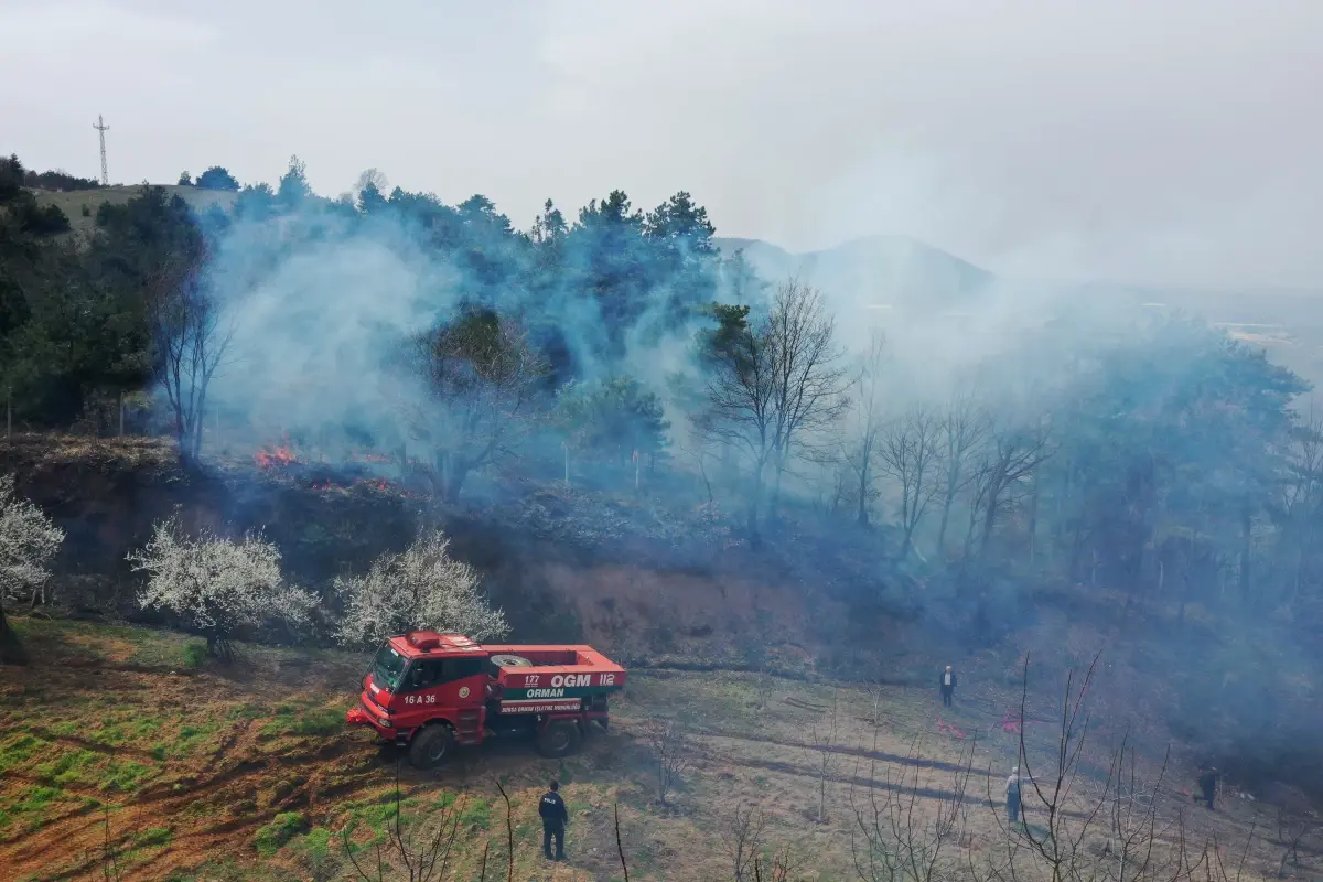Son dakika haber... (DRONE) Bursa'da ormanlık alanda çıkan iki yangına müdahale sürüyor