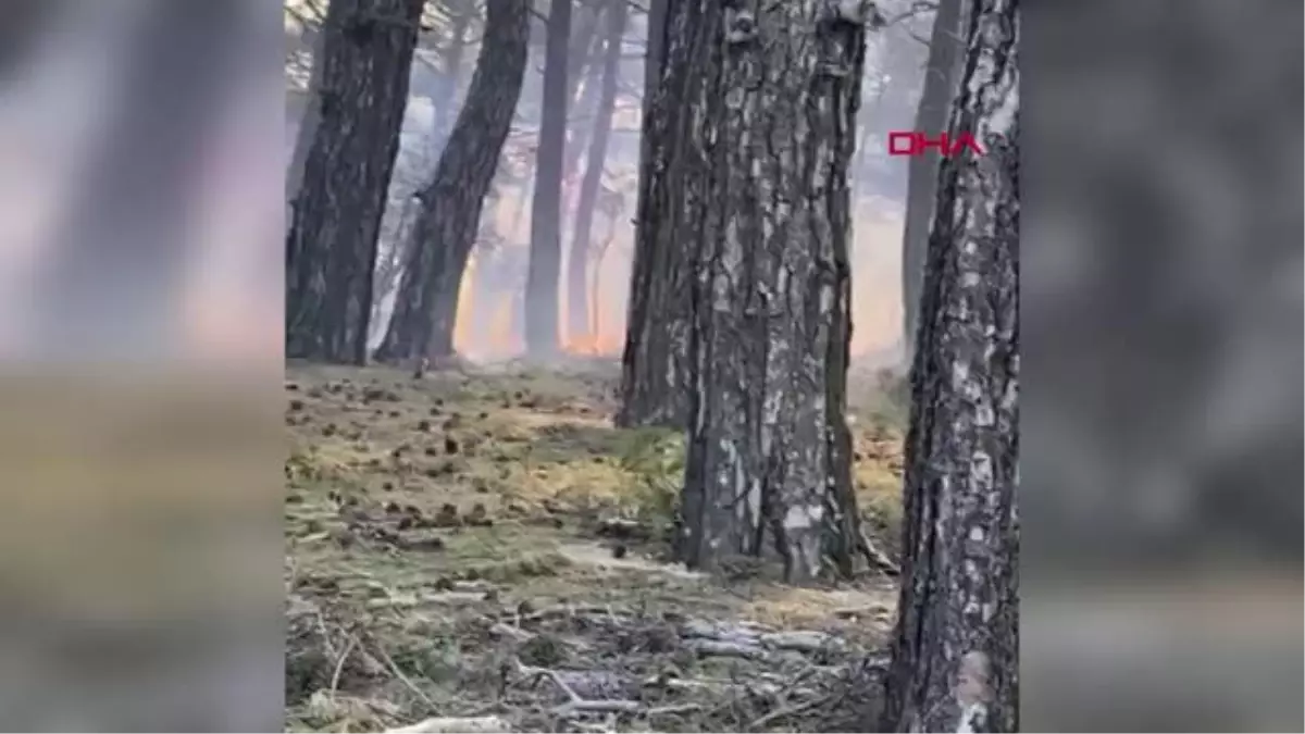 ÇANAKKALE'DE ORMAN YANGINI DEVAM EDİYOR