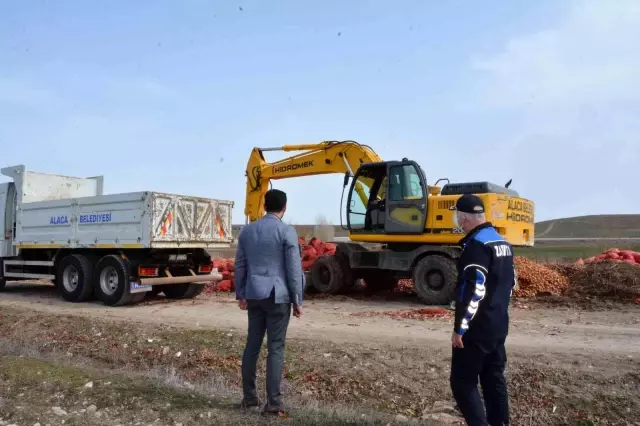 Yol kenarına atılan tonlarca soğan belediye grupları tarafından imha edildi