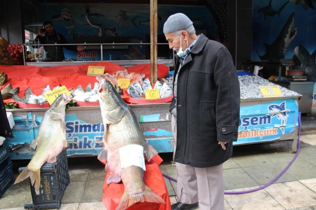Elazığ'da sezonun son dev turna balığı yakalandı: Tam 103 kilogram