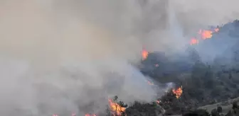 Havalar ısındı, orman yangınları başladı! OGM, hafta sonu için beklenen tehlikeye dikkat çekti