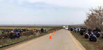 Siverek'te kaza: 1 ölü 1 yaralı