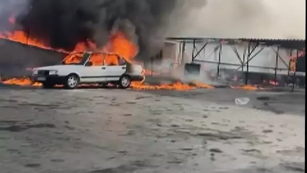 İş yerinin çatısında çıkan yangında 250 güvercin canlı diri yandı