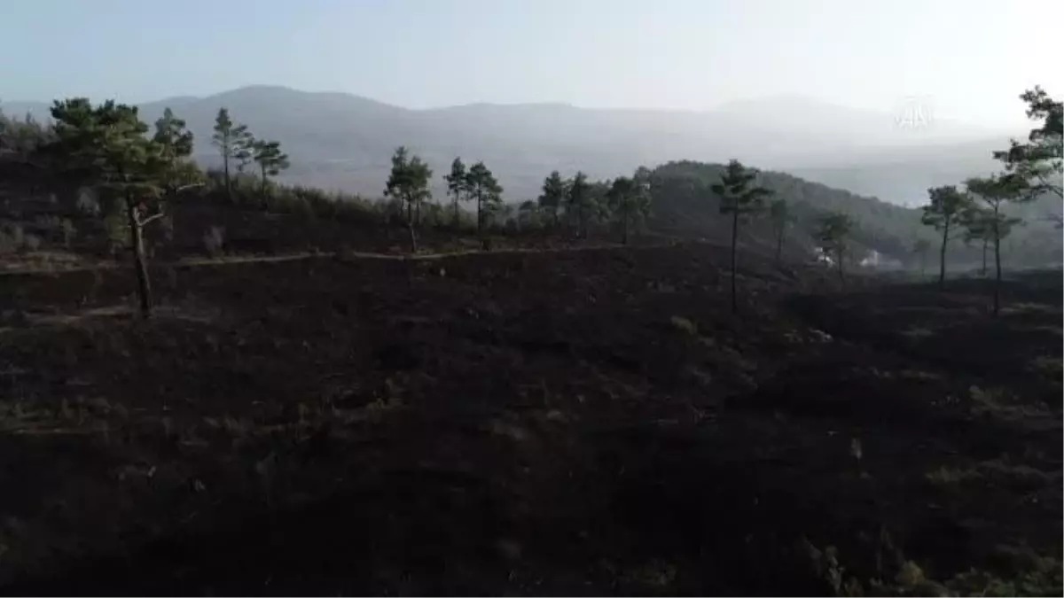 (DRONE) Bursa'da dün başlayan orman yangınlarının kontrol altına alındı