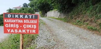 Denizli'de şap hastalığı nedeniyle 7 mahalle karantinaya alındı