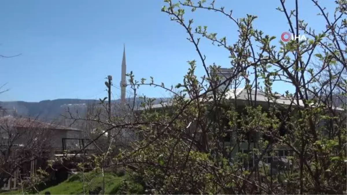 Derecikli vatandaşlar güneşli havanın keyfini çıkarttı