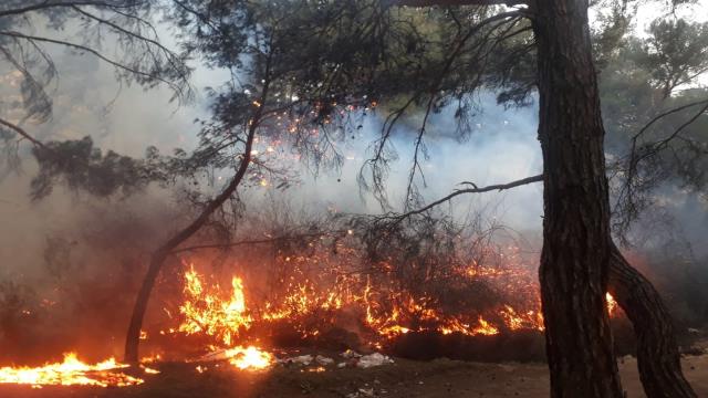 Bursa, Çanakkale ve Bilecik'te çıkan orman yangınları denetim altına alındı