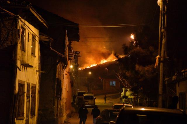 Bursa, Çanakkale ve Bilecik'te çıkan orman yangınları denetim altına alındı