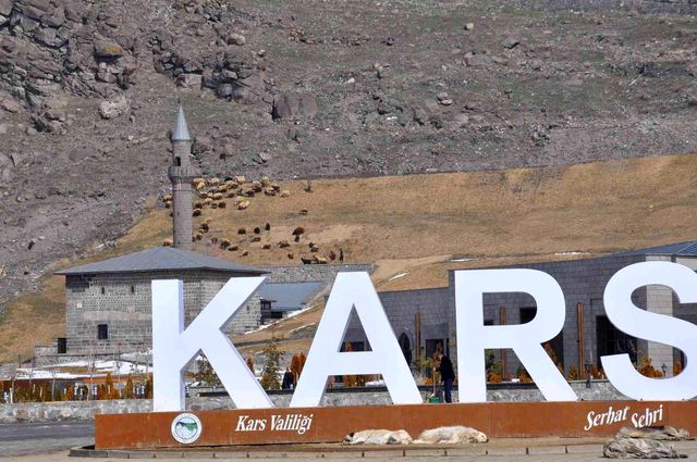 Kars Vadisi'nde koyunlar otluyor