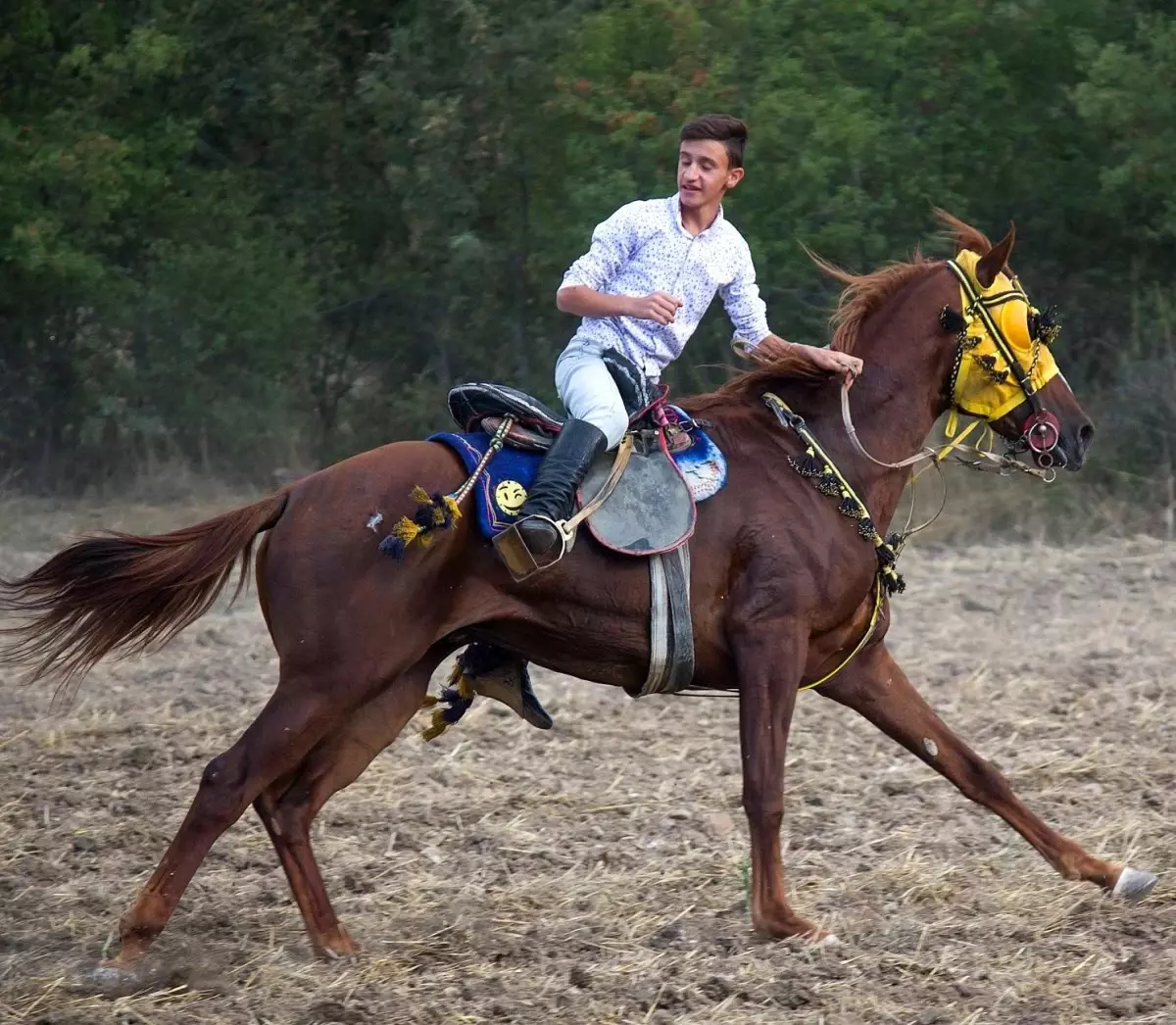 Atların çarpışması sonucu ağır yaralanan genç ciritçi yaşam mücadelesini kaybetti
