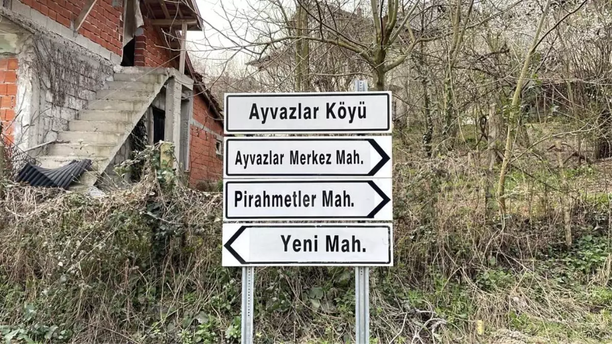 Ayvazlar köyü referandumda 'Evet' dedi