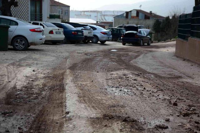 kostebek yuvasi degil sehrin merkezi 7 14840037 o