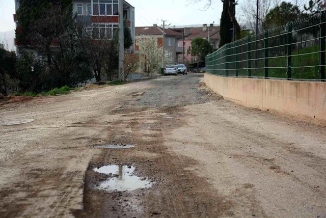 kostebek yuvasi degil sehrin merkezi 8 14840037 o