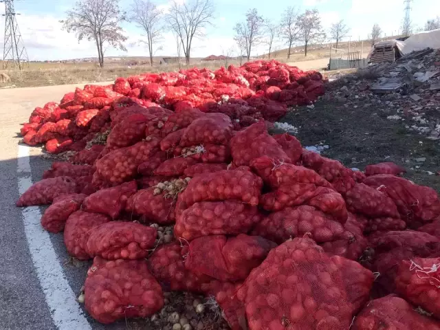Yol kenarına atılmış yüzlerce çuval soğan, takımları harekete geçirdi