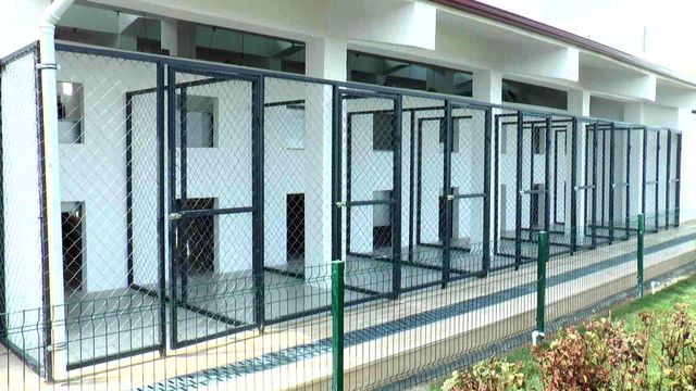 bu merkezde sokak hayvanlarinin bakimi en 3 14842731 o