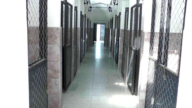 bu merkezde sokak hayvanlarinin bakimi en 7 14842731 o