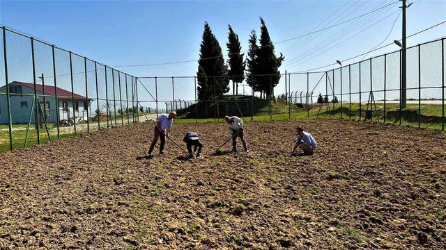 futbol sahasi sogan tarlasi oldu 2 14841211 o