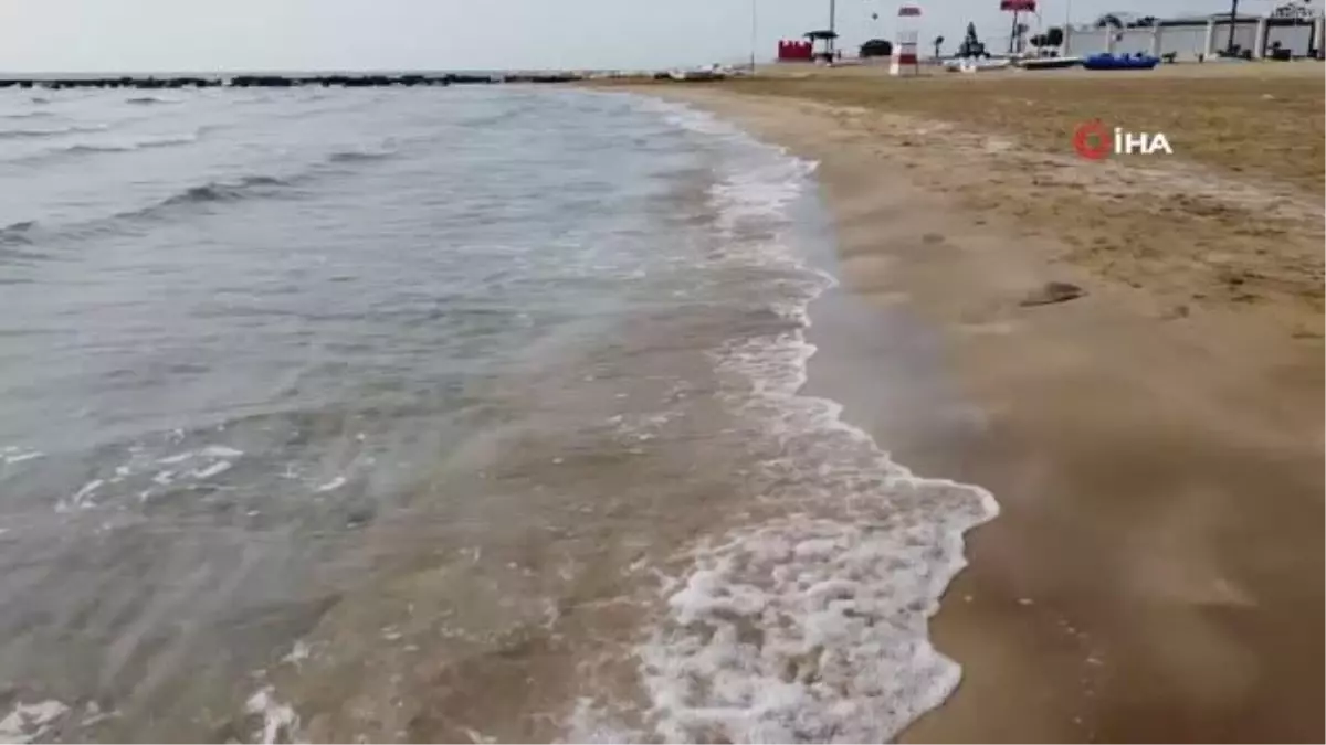 Mersin'de kıyıya vuran ölü denizanaları için uzmanlardan uyarı 'O bölgelerde denize girmeyin'