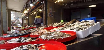 Ramazanda balığa ilgi az olunca fiyatlar geriledi