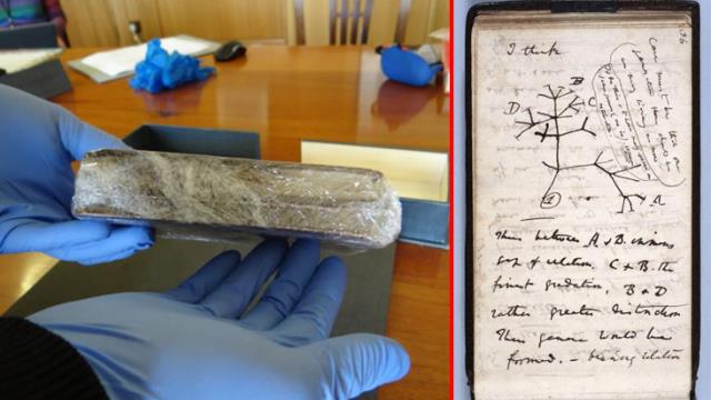 Darwin'in kayıp not defterleri, 22 yıl sonra gizemli bir biçimde bulundu