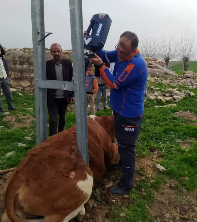 Demir direk ortasında sıkışan ineği AFAD takımları kurtardı