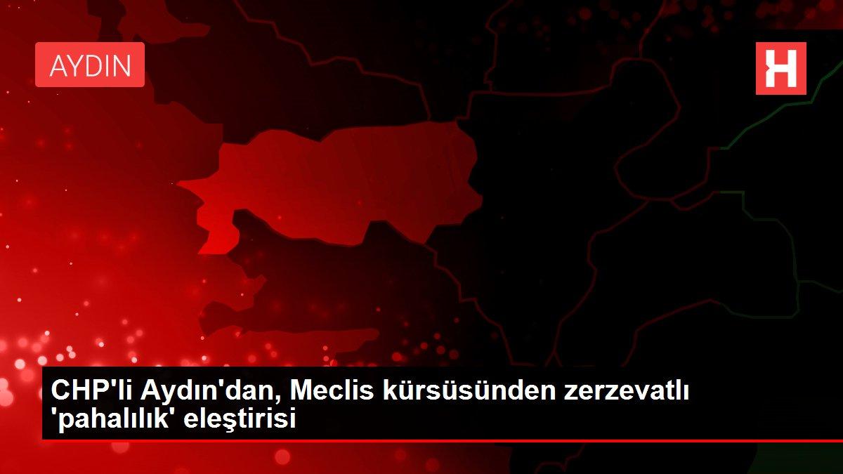 CHP'li Aydın'dan, Meclis kürsüsünden zerzevatlı 'pahalılık' eleştirisi