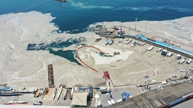 Komisyon raporu: Müsilajın nedeni sudaki besin maddesi oranının artması Komisyon raporu: Müsilajın nedeni sudaki besin maddesi oranının artması