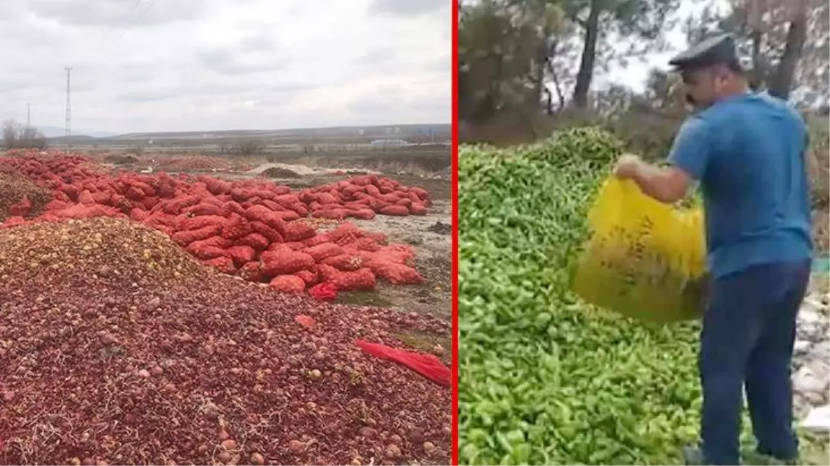 Sebzelerin çöpe döküldüğü görüntüler tepki çekmişti! Ticaret Bakanlığı, işin aslını açıkladı