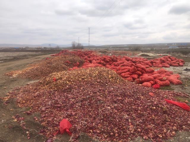 Sebzelerin çöpe döküldüğü görüntüler tepki çekmişti! Ticaret Bakanlığı, işin aslını açıkladı