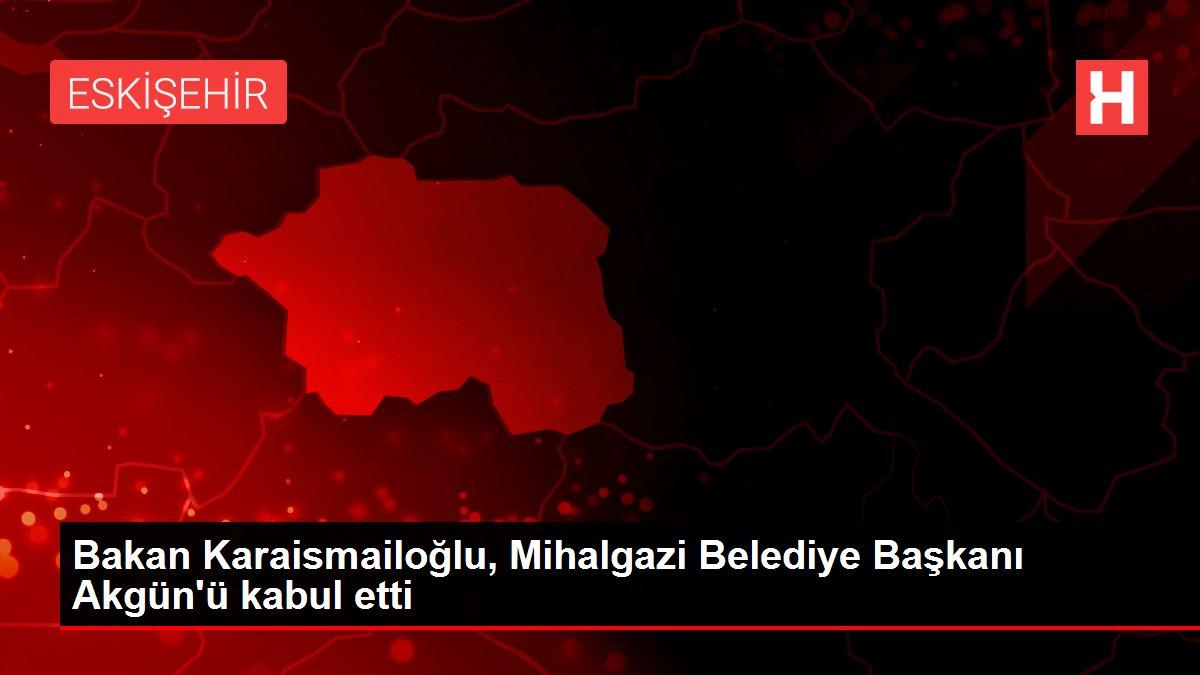 Bakan Karaismailoğlu, Mihalgazi Belediye Başkanı Akgün'ü kabul etti
