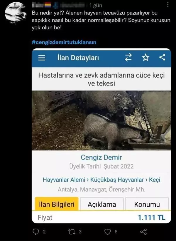 İlandaki bir cümle başını yaktı! Keçilerini satmak isterken 'hayvan tacizcisi' oldu İlandaki bir cümle başını yaktı! Keçilerini satmak isterken 'hayvan tacizcisi' oldu