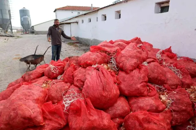 Üreticilerin elinde kalan soğanlar depolarda çürüyor