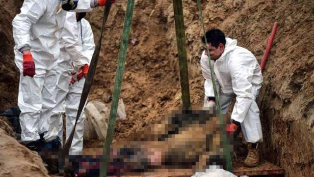 Buça'daki katliam tüm dünyayı sarmıştı! Şimdi de toplu mezardan çok sayıda ceset çıkarıldı