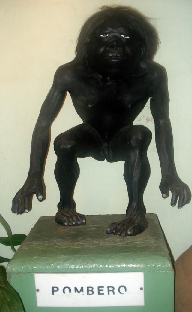 Koca ülkeyi ayaklandıran esrarengiz olay! Tarladaki seslere koştu, küçük çocuğu kaçıran yaratıkla karşılaştı Koca ülkeyi ayaklandıran esrarengiz olay! Tarladaki seslere koştu, küçük çocuğu kaçıran yaratıkla karşılaştı