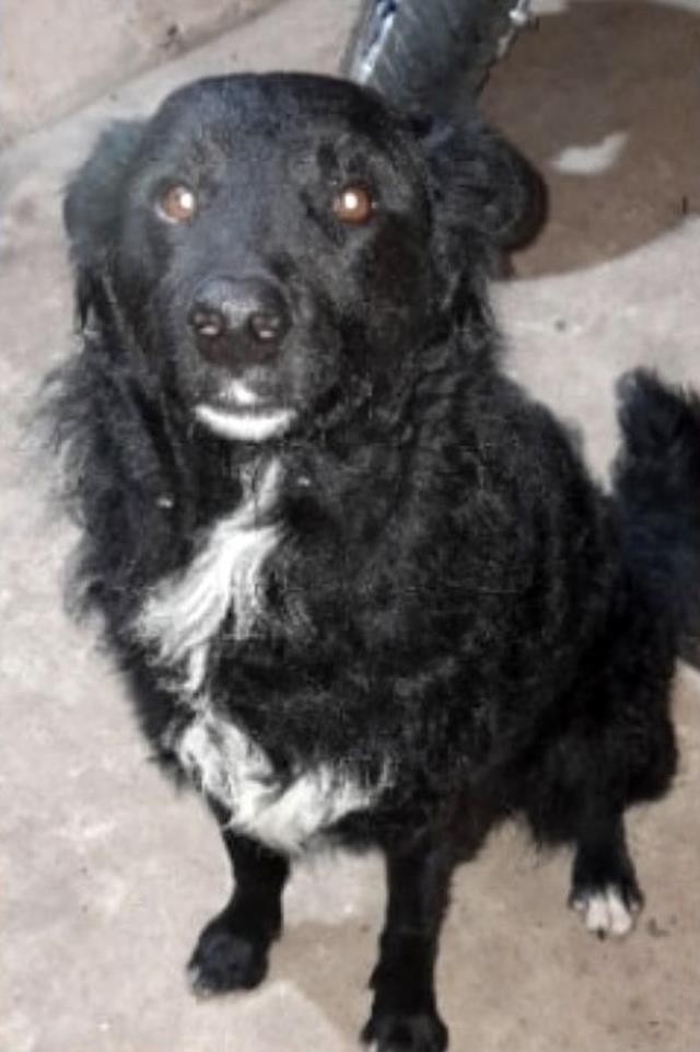 Koca ülkeyi ayaklandıran esrarengiz olay! Tarladaki seslere koştu, küçük çocuğu kaçıran yaratıkla karşılaştı Koca ülkeyi ayaklandıran esrarengiz olay! Tarladaki seslere koştu, küçük çocuğu kaçıran yaratıkla karşılaştı