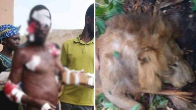 Tüm köylü bu olayı kulaktan kulağa dillendiriyor! Ormanın içinde aslan ve insanın yaşadıkları hadise korkunç