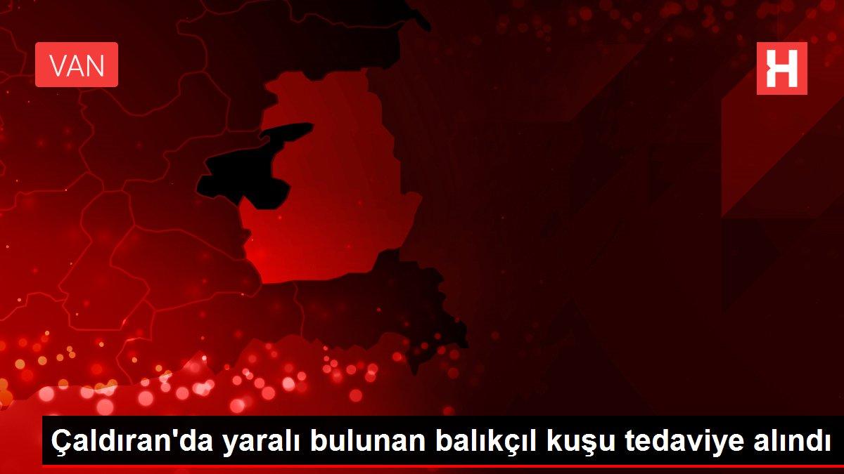 Çaldıran'da yaralı bulunan balıkçıl kuşu tedaviye alındı