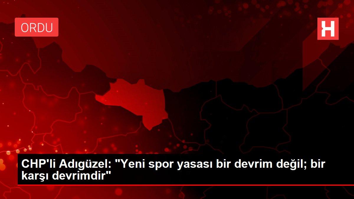 CHP'li Adıgüzel: 'Yeni spor yasası bir devrim değil; bir karşı devrimdir'