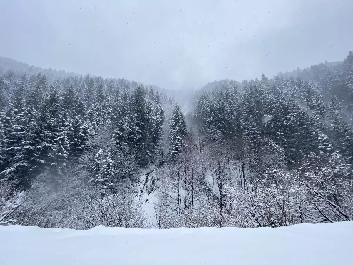 Giresun'da kar yağışı yükseklerde etkili oluyor