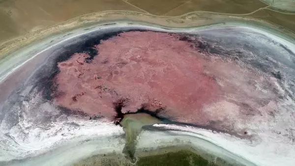 Her yıl pembeye dönen Küçük Göl bu sene kahverengi oldu, ziyaretçiler hayal kırıklığı yaşadı Her yıl pembeye dönen Küçük Göl bu sene kahverengi oldu, ziyaretçiler hayal kırıklığı yaşadı