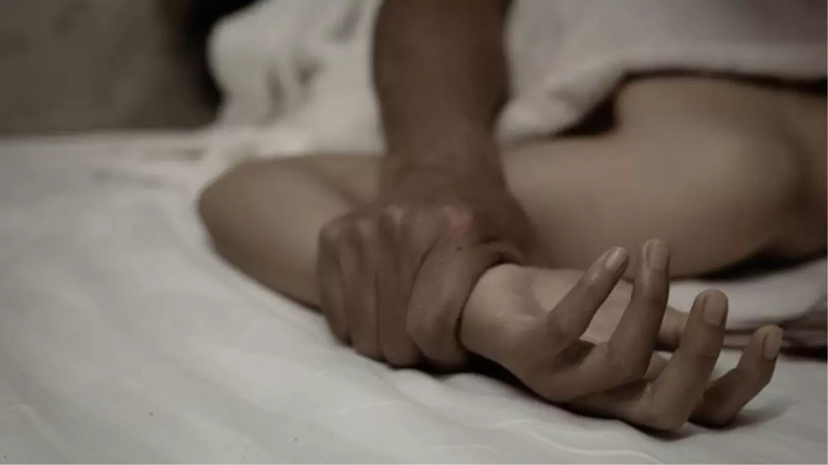 Baldızını hamile bıraktığı iddia edilen enişte 'Eşim dışarıda mağdur' diyerek tahliye talep etti